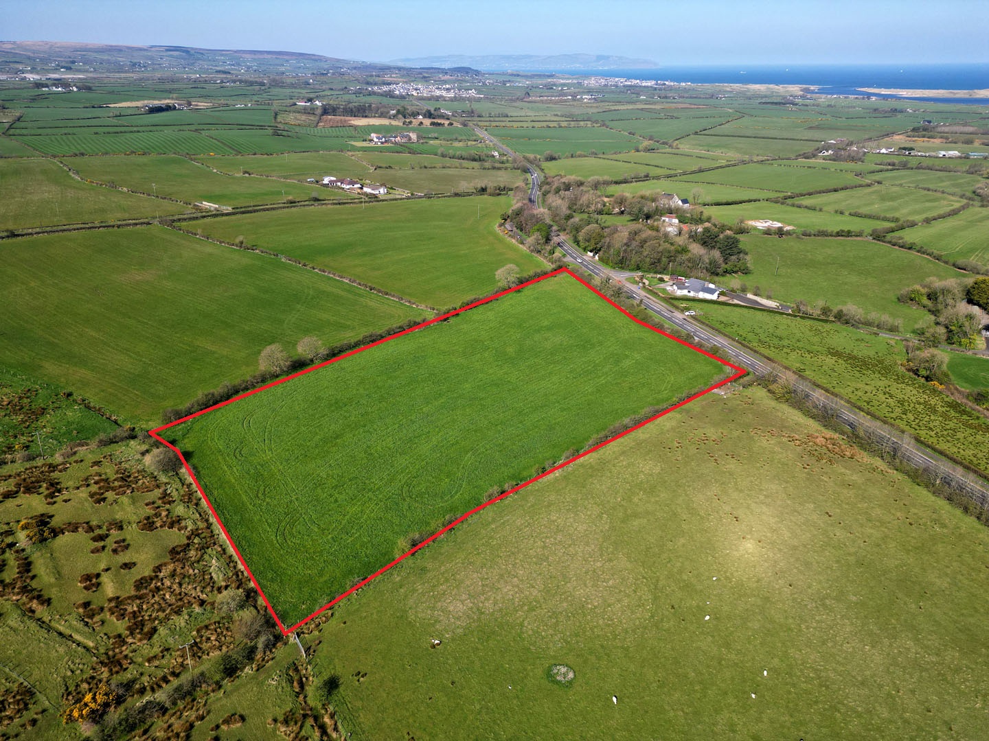 Click to view more details....